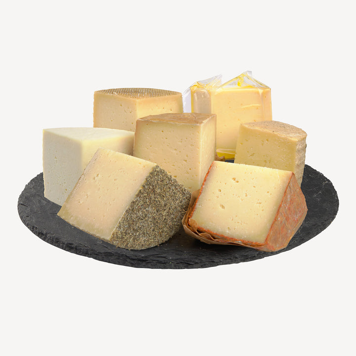Una imagen elegante que captura la esencia de la Colección Todo, mostrando una selección diversa de nuestros quesos artesanos meticulosamente dispuestos sobre un fondo blanco